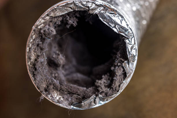 Best Best Air Duct Cleaning Company  in Blue Ridge, GA
