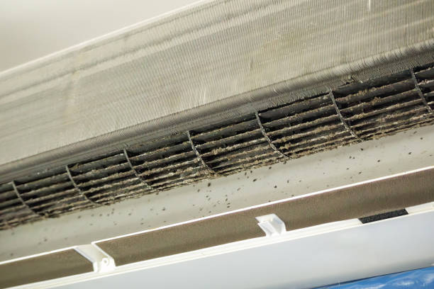Best Commercial Air Duct Cleaning  in Blue Ridge, GA